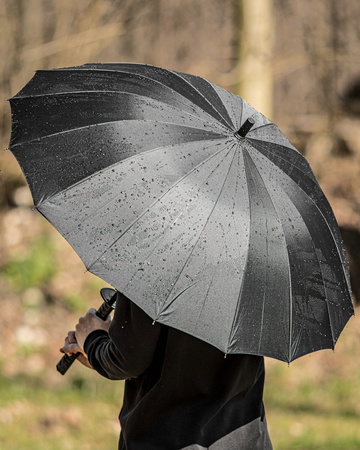 Parasol samuraja NEW MODEL